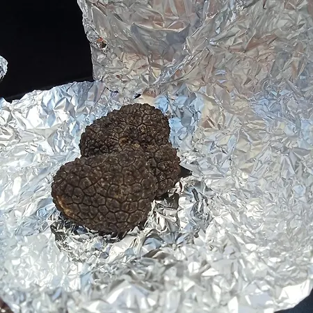 Çiftlik konaklama Il Rifugio Dei Vescovi